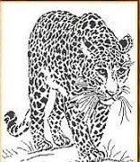 Графика Леопард (набор для вышивания крестом) Искусница прочие